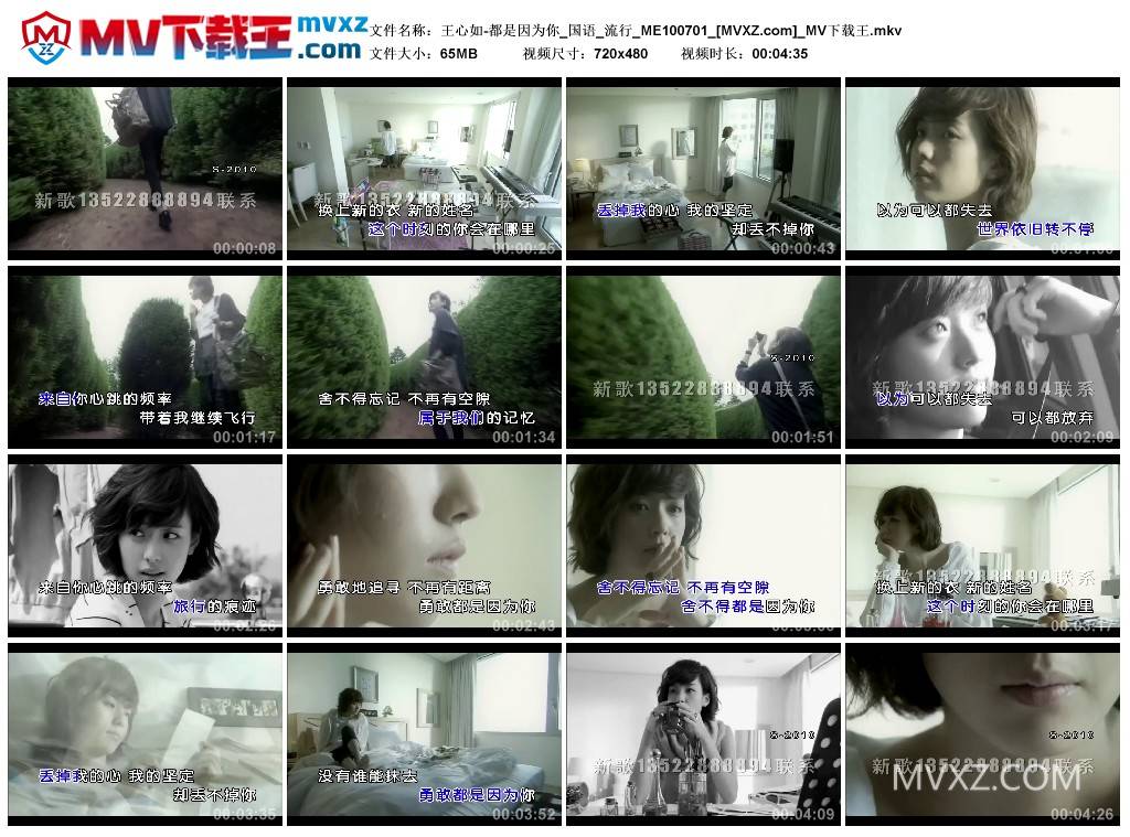 王心如-都是因为你_国语_流行_ME100701